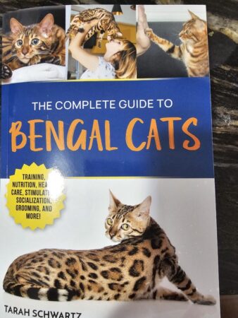 Informational Book on Bengal Cats